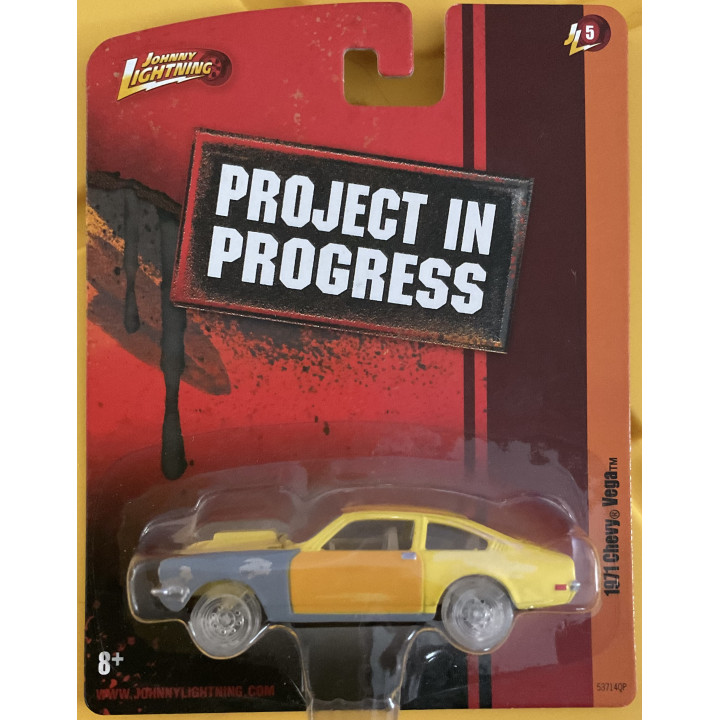 Project in Progress