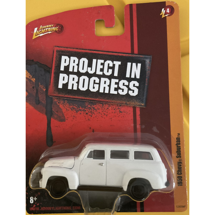 Project in Progress