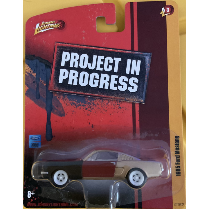 Project in Progress