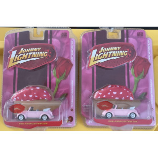 Holiday Collection Valentines Day VW