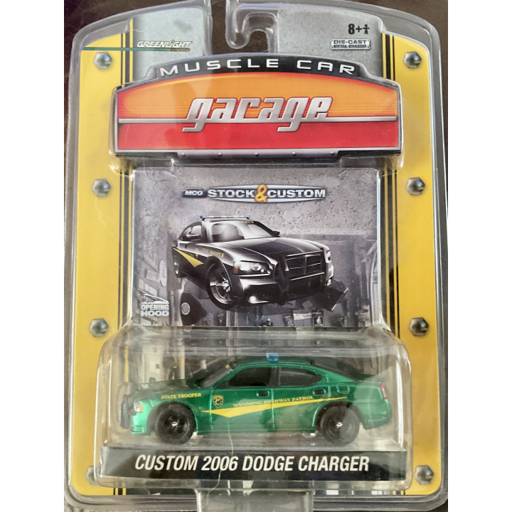 Stock & Custom Series 5 06 charger